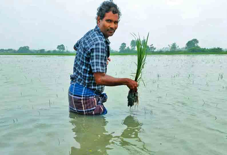 வடகிழக்கு பருவமழை எதிரொலி: மீஞ்சூர் குடியிருப்புகளில் மழைநீர் புகுந்ததால் பொதுமக்கள் அவதி