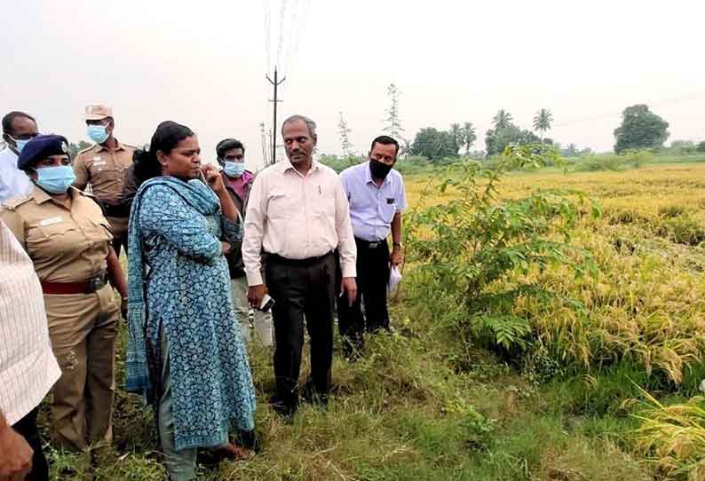 மழையால் சேதமடைந்த நெற்பயிர்களை மாவட்ட கண்காணிப்பு அலுவலர் ஆய்வு