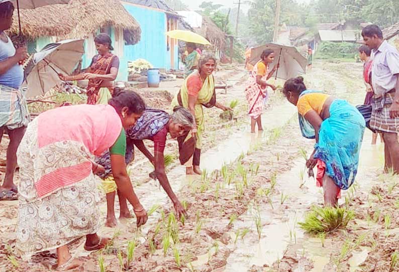 சேறும், சகதியுமான சாலையில் நாற்று நட்டு போராட்டம்