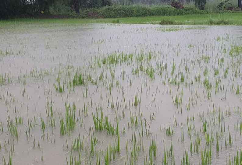 1 லட்சம் ஏக்கர் பயிர்கள் நீரில் மூழ்கின