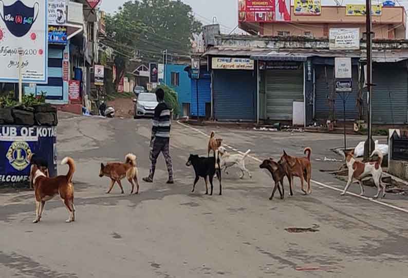 தினத்தந்தி புகார் பெட்டி