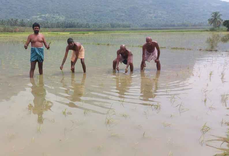 குமரியில் மேலும் 22 வீடுகள் இடிந்தன