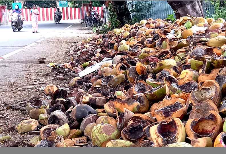 கொசுக்கள் உற்பத்தி கூடாரமான இளநீர் கூடுகள்