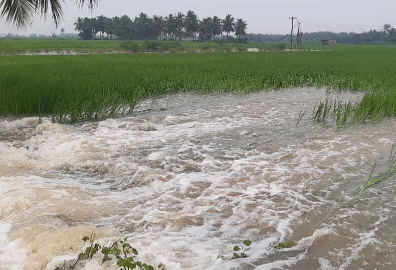 பம்பை ஆற்றின் கரை உடைந்து 500 ஏக்கர் நெற்பயிர்கள் சேதம்