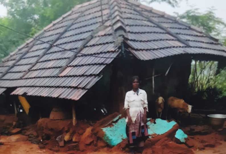 புதுக்கோட்டையில் தொடர் மழை; 988 எக்டேர் நெற்பயிர்கள் தண்ணீரில் மூழ்கின