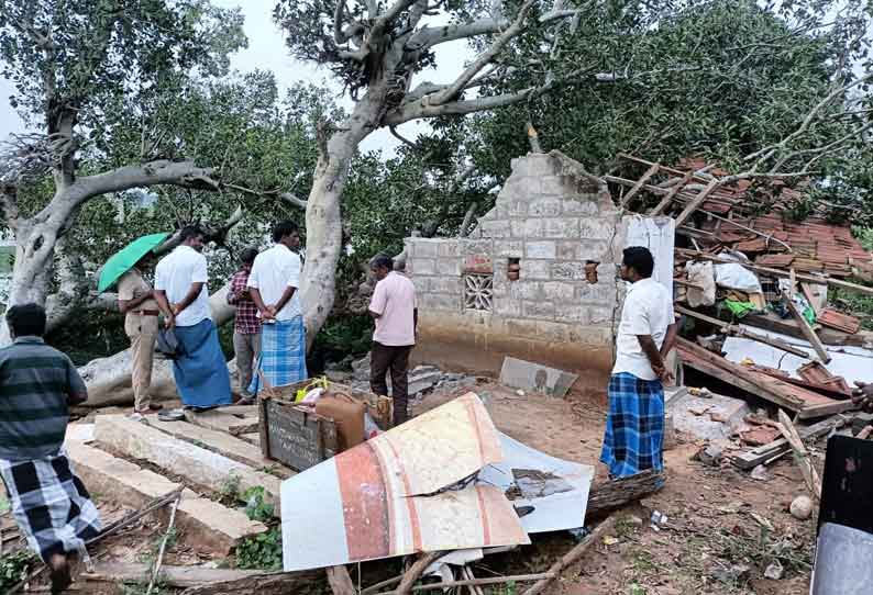 வீட்டின் மீது ஆலமரம் விழுந்தது