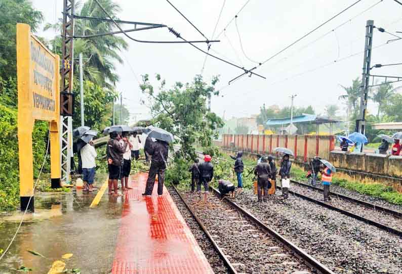 வேப்பம்பட்டு ரெயில் நிலைய தண்டவாளத்தில் வேருடன் சாய்ந்த மரம் - 4 மணி நேரம் போக்குவரத்து பாதிப்பு