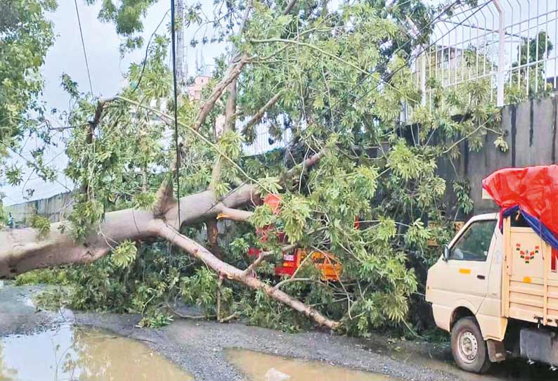 திருவொற்றியூர் நெடுஞ்சாலையில் மரம் விழுந்ததால் மெட்ரோ ரெயில் சேவை பாதிப்பு