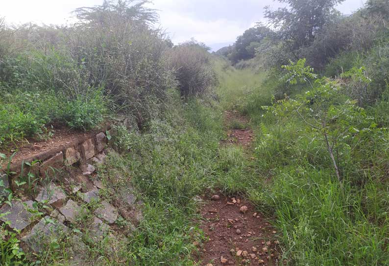 அய்யம்பாளையம் மருதாநதி அணையில் இருந்து வடக்கு, தெற்கு வாய்க்காலில் தண்ணீர் திறந்து விட கோரிக்கை