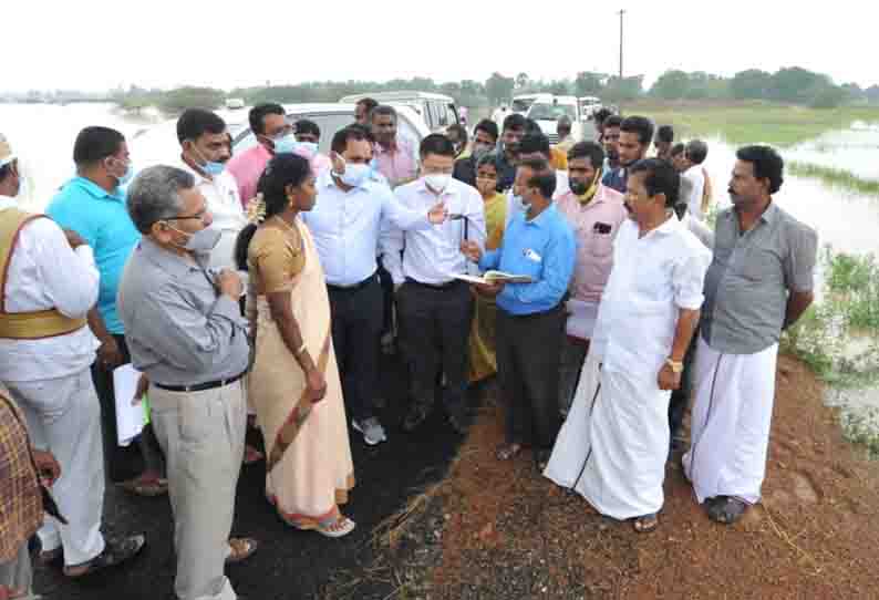 மழையில் சேதமான பயிர்களை அரசு செயலர் நேரில் ஆய்வு