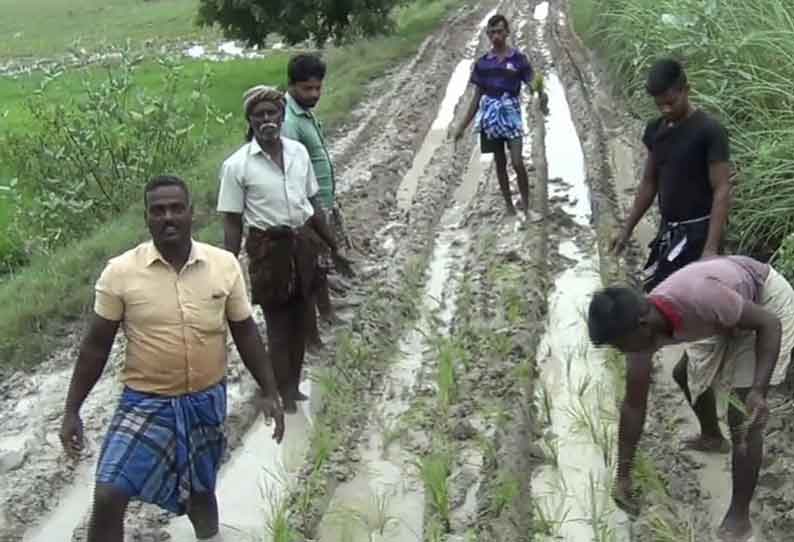 சாலையை சீரமைக்க கோரி நாற்று நட்டு நூதன போராட்டம்