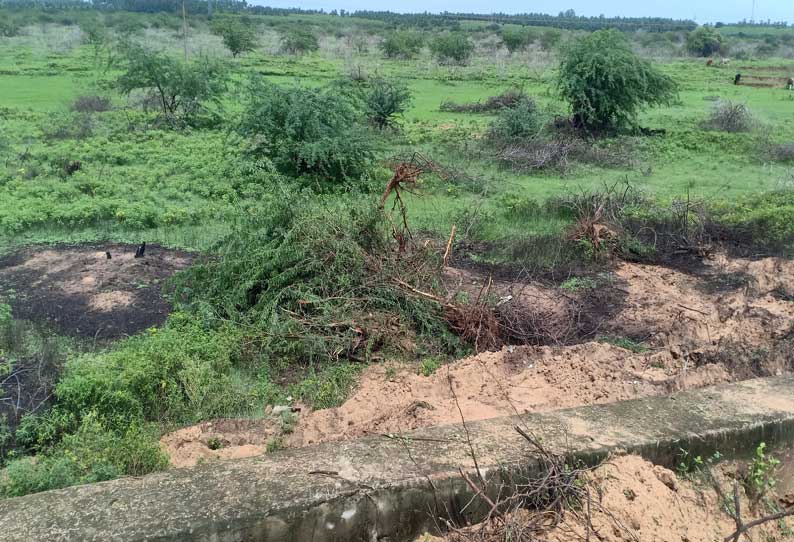 ஊரெல்லாம் வெள்ளக்காடாக காட்சியளிக்கும் இந்த ஆண்டாவது உடன்குடி அருகே வறண்டு கிடக்கும் தாங்கைகுளத்திற்குதண்ணீர் வருமா என்ற விவசாயிகள் ஏக்கப் பெருமூச்சு விட்டு வருகின்றனர்