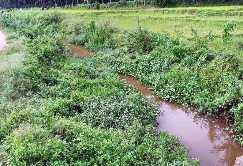 பாசன கால்வாய்கள் புதர்மண்டி கிடப்பதால் கடைமடைக்கு தண்ணீர் கிடைப்பதில் சிக்கல்