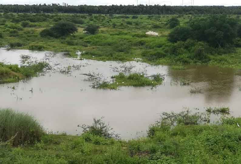 கோதவாடிகுளத்துக்கு திறக்கப்பட்ட தண்ணீர் திடீர் நிறுத்தம்