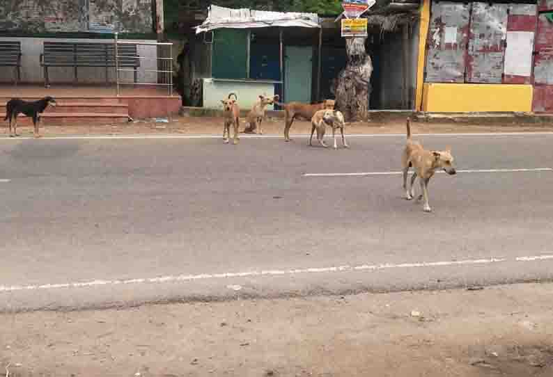 புதுக்கோட்டை