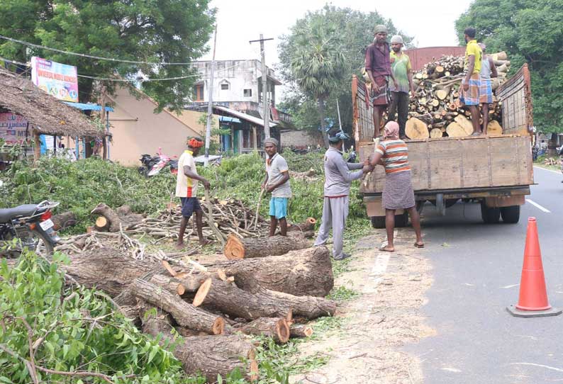 4 வழிச்சாலை பணிக்கு மரங்கள் வெட்டி அகற்றும் பணி தீவிரம்