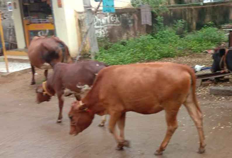 ‘தினத்தந்தி’ புகார் பெட்டியில் பதிவான மக்கள் குறைகள் தொடர்பான பதிவுகள்