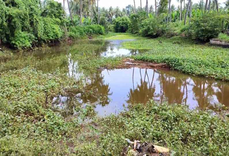 வெள்ளாளபாளையம் பகுதியில் நீர் வழித்தடங்களை ஆக்கிரமித்த ஆகாயத்தாமரை- அகற்ற பொதுமக்கள் கோரிக்கை