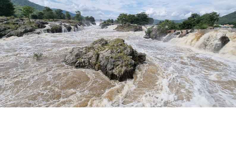 காவிரி நீர்ப்பிடிப்பு பகுதிகளில் தொடர் மழை ஒகேனக்கல்லில் 2 வது நாளாக வெள்ளப்பெருக்கு