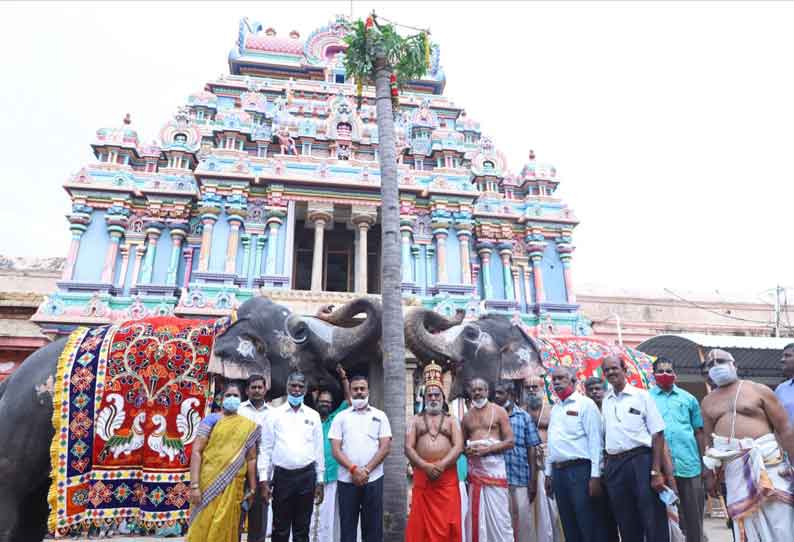 ஸ்ரீரங்கம் ரெங்கநாதர் கோவிலில் சொக்கப்பனை முகூர்த்தக்கால் நடப்பட்டது