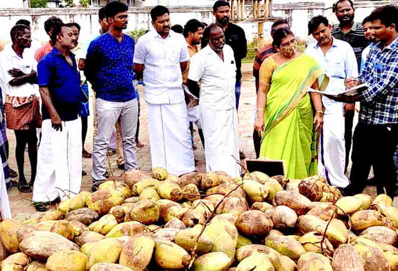 ஒழுங்குமுறை விற்பனை கூடத்தில் தேங்காய் மறைமுக ஏலம்