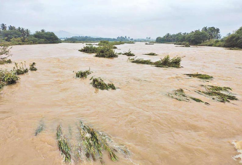 கொசஸ்தலை ஆற்றில் தரைப்பாலங்களை மூழ்கடித்து கரைபுரண்டு ஓடிய வெள்ளம்