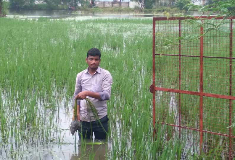 செட்டிகுளம் நிரம்பியது; விவசாய நிலத்தில் தண்ணீர் புகுந்ததால் பயிர்கள் சேதம்