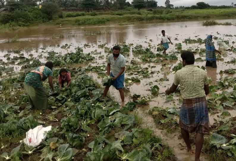 கிருஷ்ணகிரி மாவட்டத்தை புரட்டி போட்ட கனமழை 374 வீடுகள் இடிந்து சேதம் பயிர்கள் தண்ணீரில் மூழ்கி நாசம்