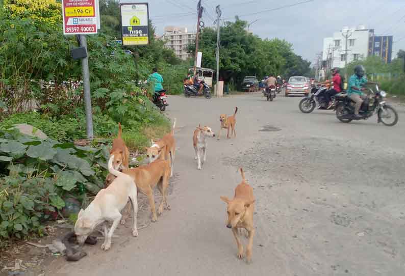 புகார் பெட்டி