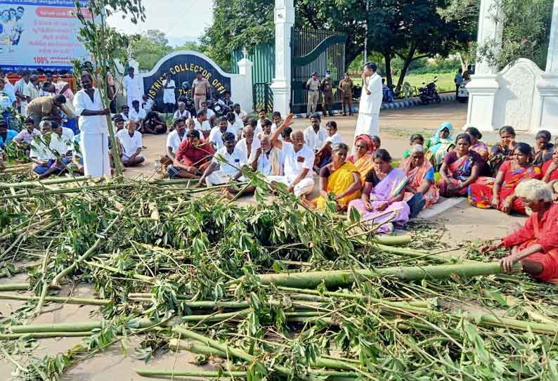 மரக்கிளைகளுடன் கலெக்டர் அலுவலகத்தை  விவசாயிகள் முற்றுகை; தேனியில் பரபரப்பு