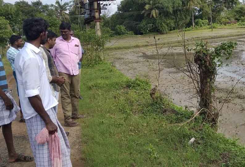 மழையால்  பாதிக்கப்பட்ட பயிர்களை கணக்கெடுக்கும் பணி