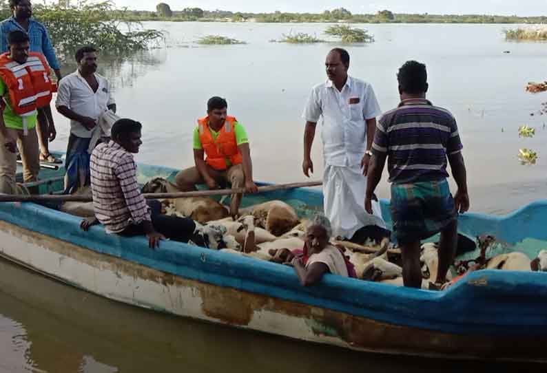 கொள்ளிடம் ஆற்றில் 150 ஆடுகளுடன் சிக்கி தவித்த கணவன்-மனைவி