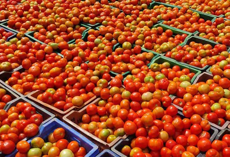 Selling tomatoes at farm greenhouses shop -Government of Tamil Nadu | பண்ணை  பசுமை நுகர்வோர் கடைகள் மூலம் குறைந்த விலையில் காய்கறிகள் விற்பனை- அமைச்சர்  ஐ.பெரியசாமி தகவல்