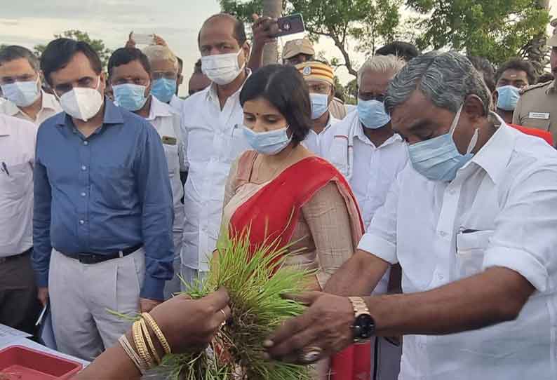 திருவாரூர் மாவட்டத்தில் மழையால் பாதிக்கப்பட்ட நெற்பயிர்களை மத்திய குழுவினர் ஆய்வு விவசாயிகளுடன் கலந்துரையாடினர்