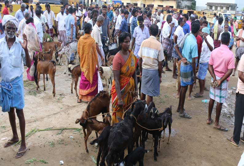 மேலப்பாளையம் சந்தையில் ஆடுகள் விற்பனை மந்தம்