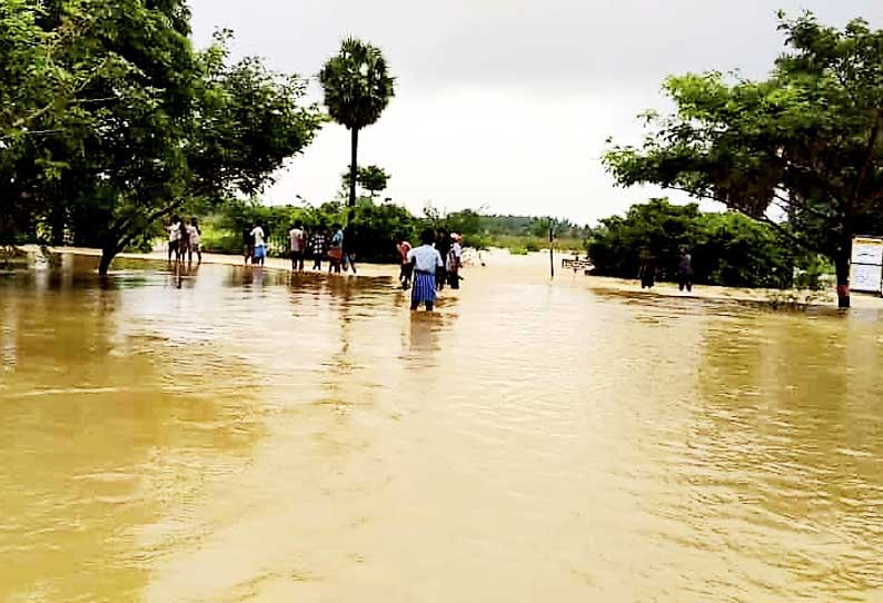 பெரம்பலூர் மாவட்டத்தில் கன மழை