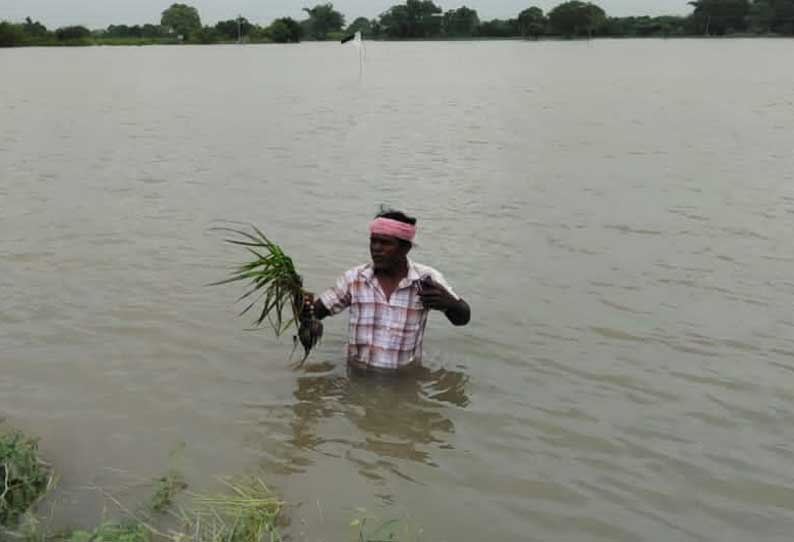 வெளுத்து வாங்கிய மழை பரங்கிப்பேட்டையில் 2 மணி நேரத்தில் 14 செ.மீ. கொட்டியது விளைநிலங்கள் வெள்ளத்தில் மதிக்கிறது