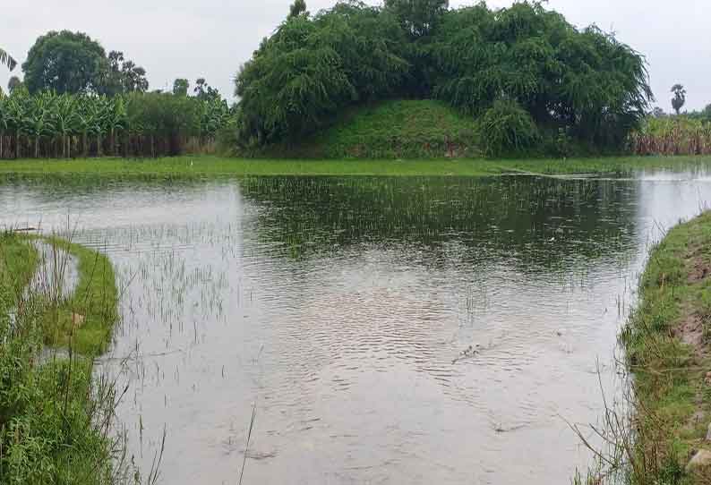 ஏரல் அருகே மறுகால் வாய்க்காலில் உடைப்பு; நீரில் மூழ்கிய பயிர்கள்