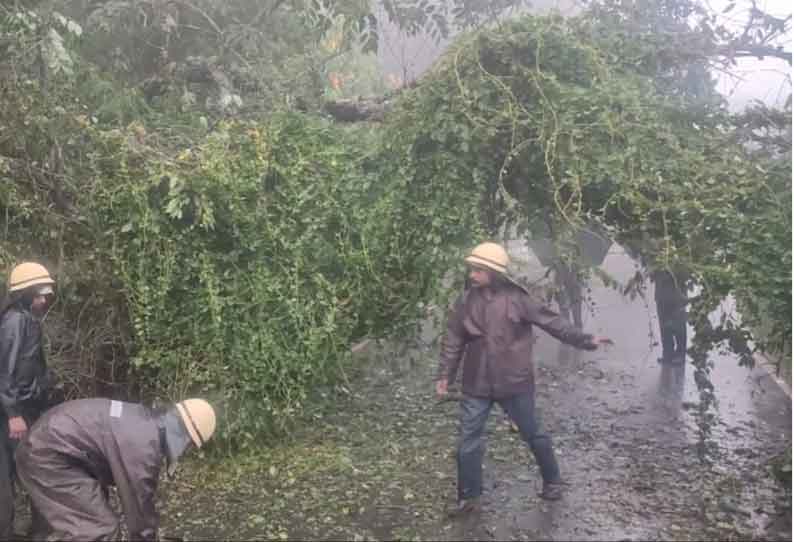 சாலைகளில் மரம் விழுந்து போக்குவரத்து பாதிப்பு