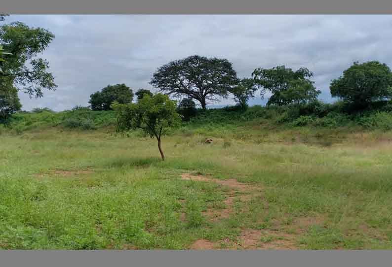 வறண்டு கிடக்கும் ஆலமரத்துக்குளம்