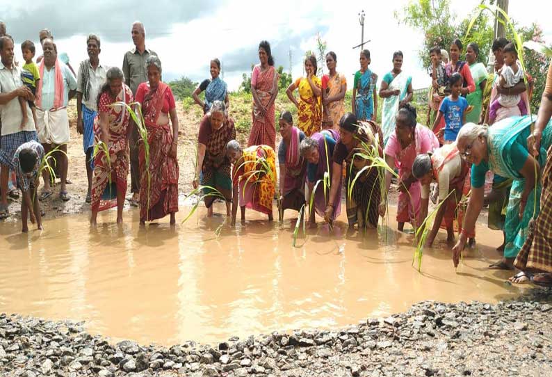 கோவில்பட்டியில் பழுதடைந்த இலுப்பையூரணி சாலையை புதுப்பிக்க கோரி, அந்த சாலையில் தேங்கியுள்ள மழைநீரில் நாற்று நட்டு பெண்கள் போராட்டத்தில் ஈடுபட்டனர்