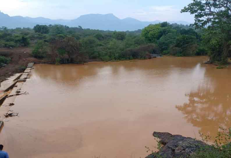 முதுமலை, மசினகுடியில் தொடர் மழையால் நிரம்பி வழியும் தடுப்பணைகள்