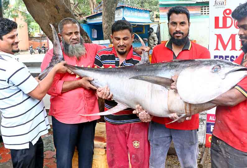 விற்பனைக்கு வந்த 86 கிலோ ராட்சத மீன்