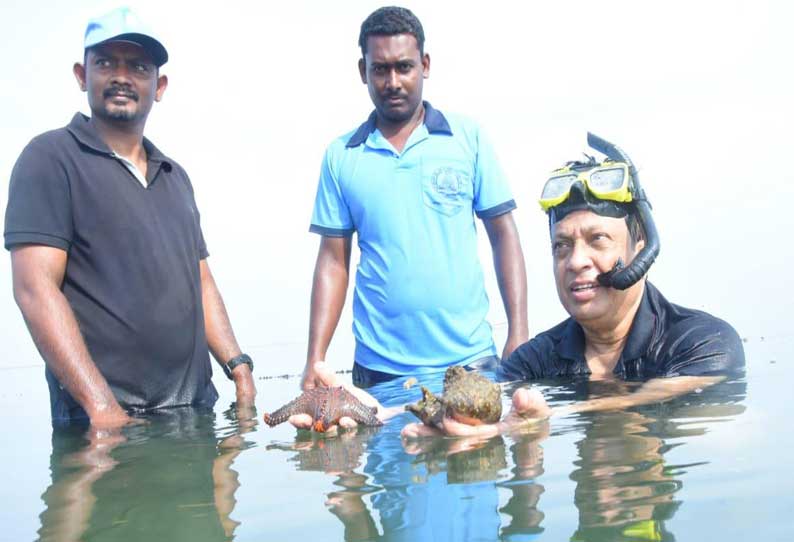 மன்னார் வளைகுடாவில் இருக்கும் குட்டித்தீவுகளை பாதுகாக்க வேண்டும்   கூடுதல் முதன்மை தலைைம வன பாதுகாவலர் வேண்டுகோள்