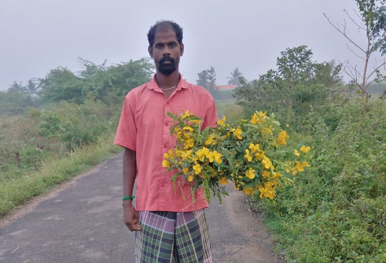 சங்கராபுரம் அருகே சுவர் இடிந்து விழுந்து கொத்தனார் பலி