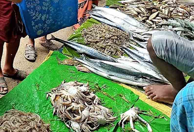 மீன் மார்க்கெட்டில் அதிகாரிகள் சோதனை