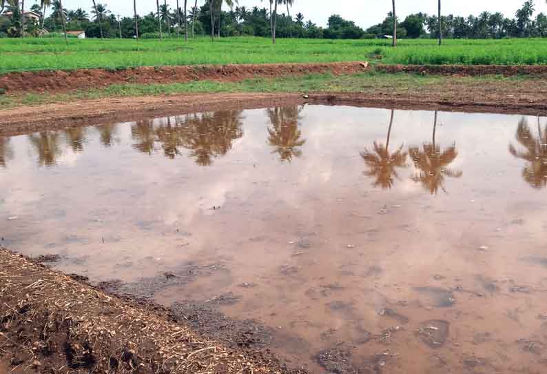 விதை நெல் விடும் பணி மும்முரம்