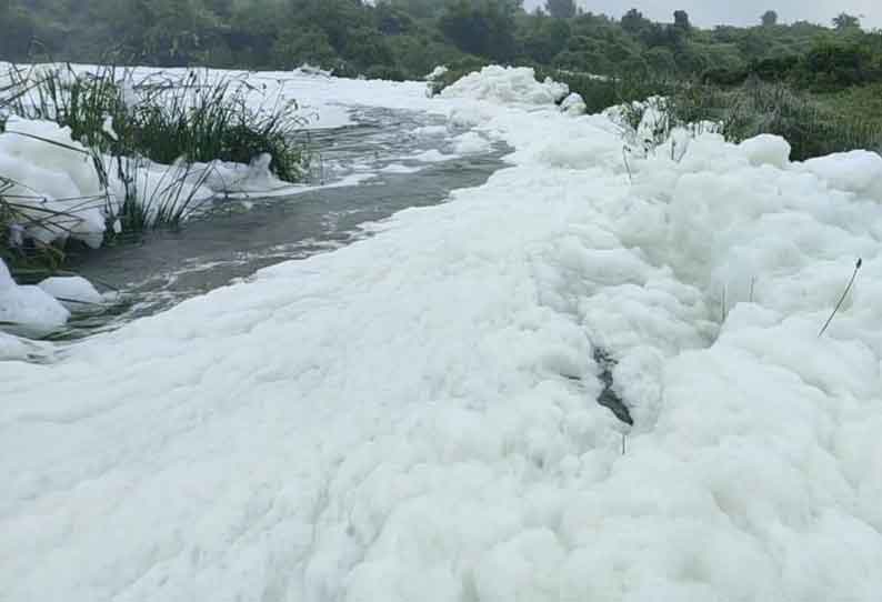 ஓசூர் கெலவரப்பள்ளி அணையில் நுரை பொங்கிய ரசாயன கழிவுநீர் - விவசாயிகள் அதிர்ச்சி