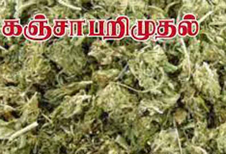 வீட்டில் பதுக்கி வைத்திருந்த ரூ.2 லட்சம் கஞ்சா பறிமுதல்