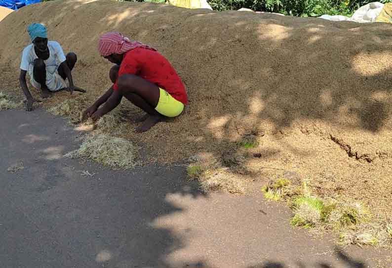 மழையில் நனைந்து நெல் முளைத்து வீணாகும் அவலம்